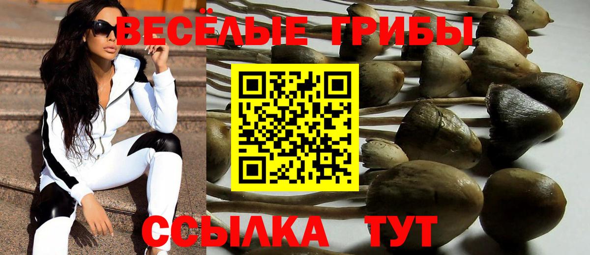 Галлюциногенные грибы Magic Shrooms  Вход с VPN  Донецк 