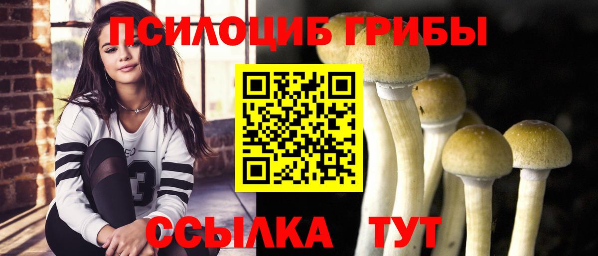 Псилоцибиновые грибы мицелий Донецк